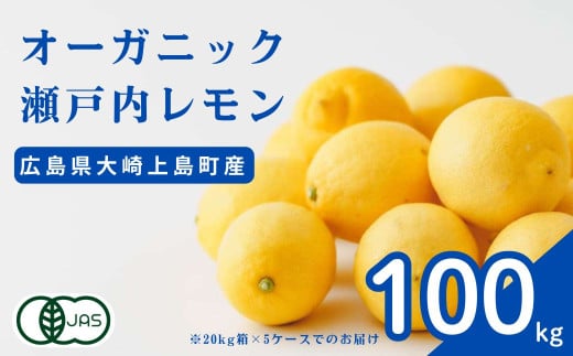 [12~1月発送] 広島県産 オーガニック瀬戸内レモン 100kg 化学肥料・除草剤・防腐剤・ワックス不使用 有機JAS 有機栽培 国産 瀬戸内 大崎上島 濃厚 甘さ控えめ 免疫力向上 健康 ビタミンC クエン酸 抗酸化 ソーダ 炭酸水 1584445 - 広島県大崎上島町