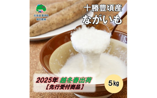 十勝豊頃産 ながいも5kg【2025年春出荷】［植村農場］ 1584629 - 北海道豊頃町