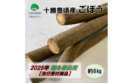 十勝豊頃産 ごぼう 8.5kg【2025年春出荷】（先行受付）【植村農場】 1584630 - 北海道豊頃町