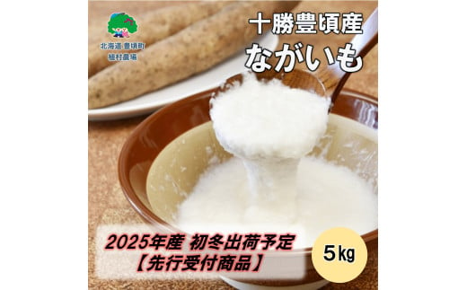 十勝豊頃産 ながいも5kg【2025年初冬出荷（先行受付）】【植村農場】 1584627 - 北海道豊頃町