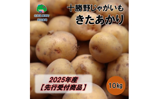 十勝野じゃがいも きたあかり10kg【2025年産】（先行受付）［按田農場］ 1584634 - 北海道豊頃町