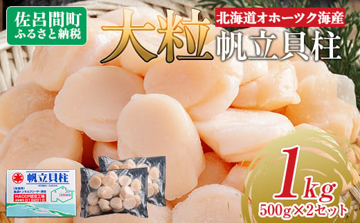 北海道オホーツク海産 大玉帆立貝柱 500g×2セット 【 ふるさと納税 人気 おすすめ ランキング ホタテ ほたて 帆立 ホタテ貝柱 ほたて貝柱 貝柱 刺身 帆立刺身 刺身ホタテ 魚介 新鮮 オホーツク海産 北海道 佐呂間町 送料無料 】 SRMR002 1508799 - 北海道佐呂間町