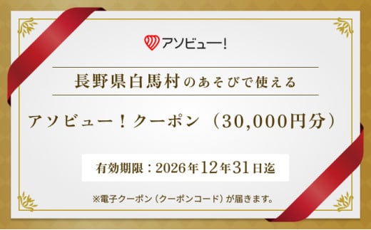 [白馬村]アソビュー!ふるさと納税クーポン(30,000円分)