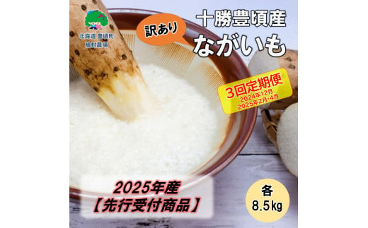 【訳あり】2025年産 十勝豊頃産 ながいも 各8.5kg【3回定期便 2025年12月･2026年2月・4月発送】（先行予約）【植村農場】