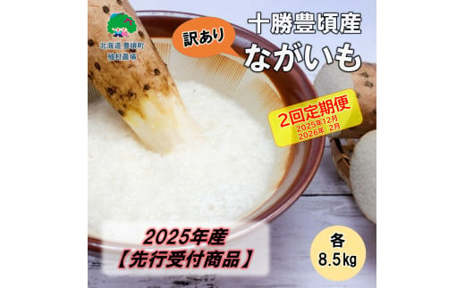 【訳あり】2025年産 十勝豊頃産 ながいも 各8.5kg【2回定期便 2025年12月･2026年2月発送】（先行受付）【植村農場】