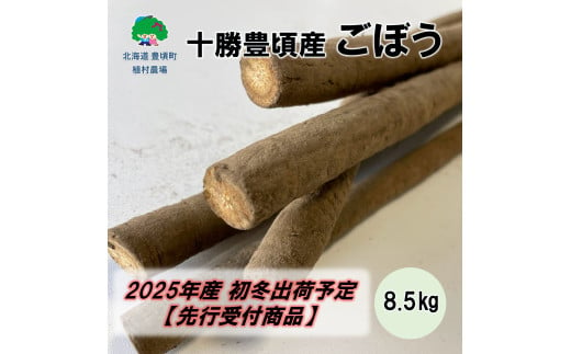 十勝豊頃産 ごぼう8.5kg【2025年初冬出荷（先行受付）】【植村農場】