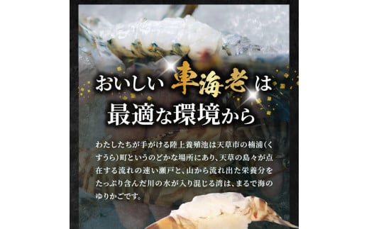 アイテムID:340246の画像4枚目