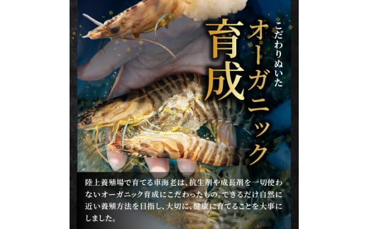 アイテムID:340246の画像5枚目
