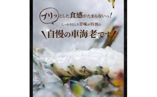 アイテムID:340246の画像6枚目