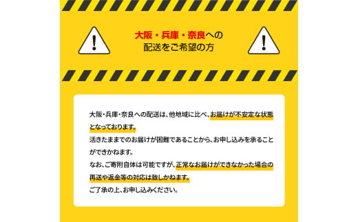 アイテムID:340246の画像8枚目