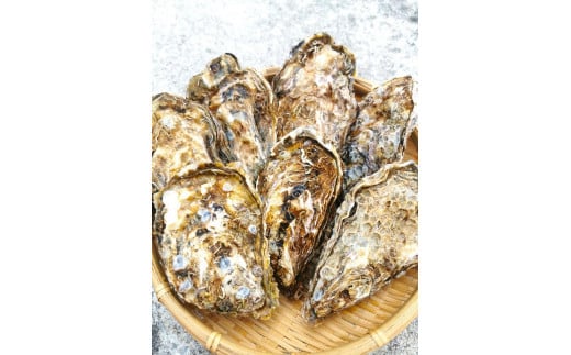 広島県産 宮島牡蠣 1.5kg（500ｇ×3袋）