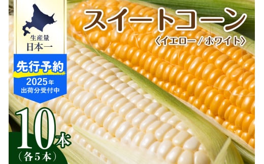 【先行予約】【2025年産】北海道十勝芽室町 とうもろこし イエロー種5本 ホワイト種5本 me002-008c-25 982054 - 北海道芽室町