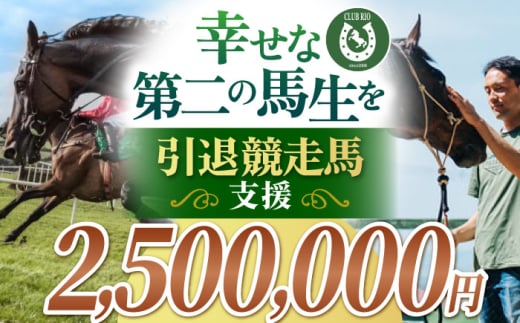 【幸せな第二の馬生を】引退競走馬支援 2,500,000円 【CLUB RIO】 支援 動物支援 動物保護 流鏑馬 返礼品なし [HBY011]