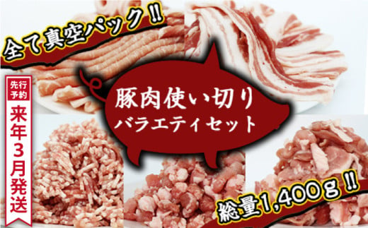 《2025年3月発送》 ありすぽーく 使い切りバラエティセット 総量1400g ／ 豚肉 バラ ロース ひき肉 小間切れ