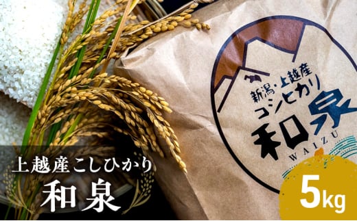 【令和6年産】上越産こしひかり『和泉』5kg 上越市 精米 米 1593006 - 新潟県上越市