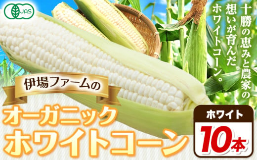 オーガニック ホワイトコーン 10本 伊場ファーム 北海道十勝浦幌町産 朝もぎたて とうもろこし 旬の時期にお届け 朝採り【2025年8月下旬-9月中旬より順次出荷】 656798 - 北海道浦幌町