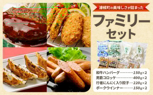 ファミリー セット ハンバーグ ＆ コロッケ ＆ 餃子 浦幌 福袋 一般社団法人十勝うらほろ樂舎 北海道 十勝郡 浦幌町 おかず ファミリーセット 惣菜 st-p 480452 - 北海道浦幌町