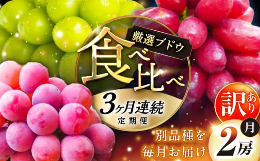 【全3回定期便】【2025年先行予約】【数量限定】【自宅用】毎月ぶどうをお届け！イチオシ3品種 各2房 島根県雲南市/ギアファーム [AIAB011]