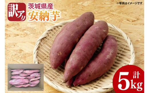 【期間限定】訳アリ 5kg 茨城県産 安納芋　芋　イモ　サツマイモ　さつまいも　訳あり（AS004）