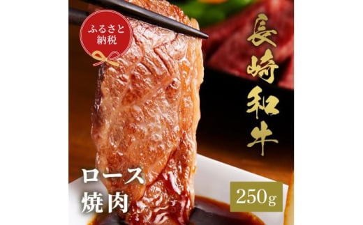 【和牛セレブ】長崎和牛 焼肉 ロース 250g [JGV006] 1589893 - 長崎県壱岐市