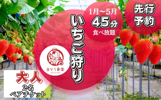 【先行予約】いちご狩り 45分 いちご 食べ放題 体験 大人(13歳～64歳) 2名チケット イチゴ 苺 体験 宮城県 東松島市 オンラインワンストップ 申請 対応 自治体マイページ 1384364 - 宮城県東松島市