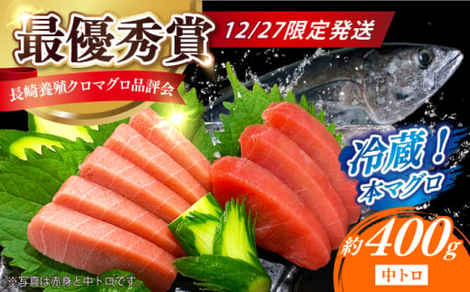 【12/27発送！】【長崎県養殖クロマグロ品評会最優秀賞！】 五島列島産 養殖 生 本マグロ 中トロ 計約400g マグロ まぐろ 鮪 刺身 ブロック 冷蔵 [RBN021]