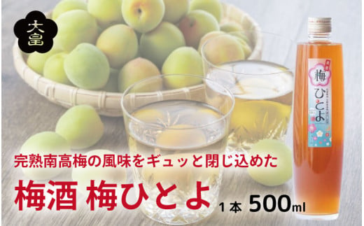 梅酒 梅ひとよ 500ml 1本 梅 南高梅 3年 熟成 うめ 果物 フルーツ うめしゅ お酒 酒  果実酒 さけ ビール ハイボール チューハイ 焼酎 日本酒 ウイスキー ワイン ギフト 贈答 プレゼント 送料無料 徳島県 吉野川市 1149532 - 徳島県吉野川市