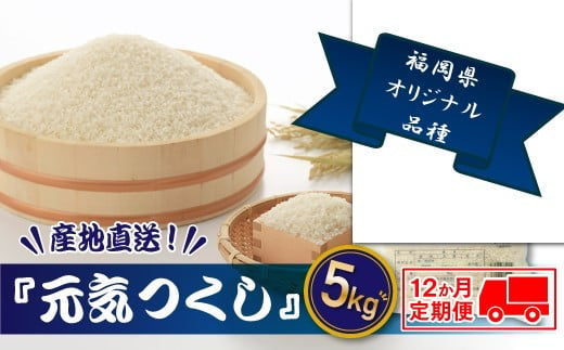 JG002.【全12回定期便】特Ａも獲得した自慢のお米『元気つくし』5kg【元気つくし】