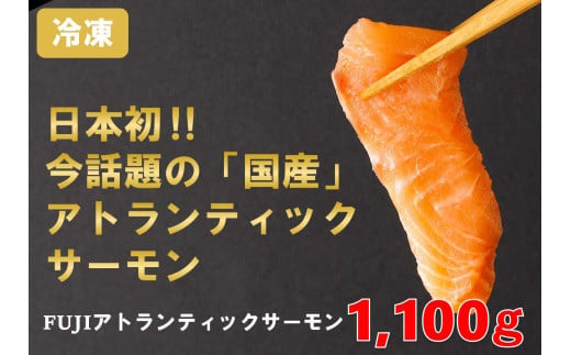 E27【3月28日(金)発送】日本初！今話題の国産アトランティックサーモン「FUJI ATLANTIC SALMON」【冷凍】1,100ｇ