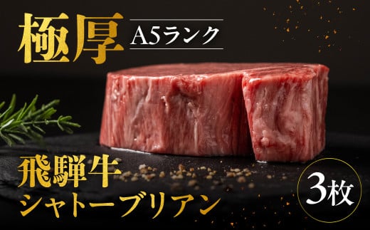 A5等級 飛騨牛 シャトーブリアン ヒレステーキ 190g×3枚(計570g)牛肉 和牛 ステーキ 厚切り 飛騨市肉 にく ヒレ 黒毛和牛 和牛 国産 飛騨岐阜人 2025年 3枚 a5 a5等級