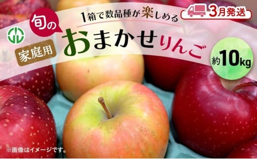 [№5554-0246]りんご 【 3月発送 】 家庭用 旬のりんご 品種おまかせ 約 10kg 2種類～4種類