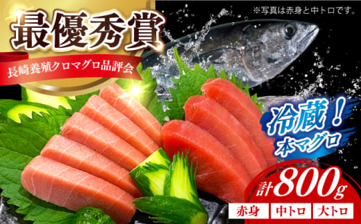 【長崎県養殖クロマグロ品評会最優秀賞！】 五島列島産養殖 生 本マグロ 赤身 中トロ 大トロ 計約800g マグロ まぐろ 鮪 刺身 ブロック 冷蔵 [RBN017]