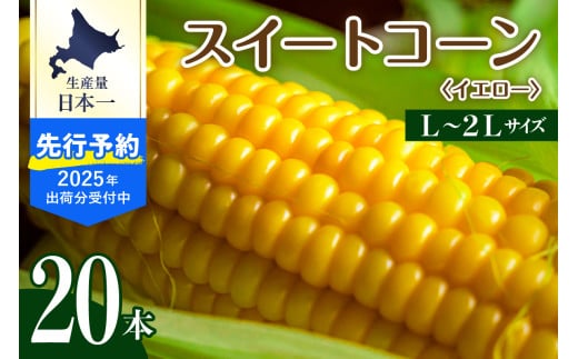 【先行予約】【2025年産】北海道十勝芽室町 とうもろこし スイートコーン20本 イエロー種 me002-014c-25 685311 - 北海道芽室町