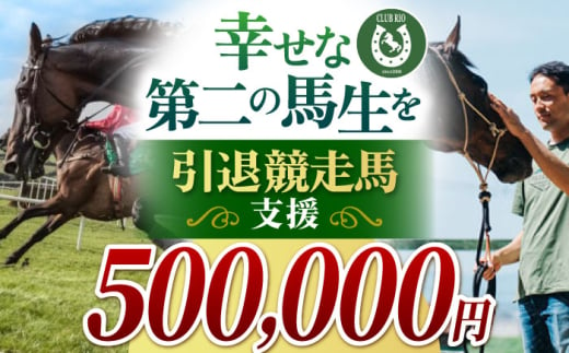 【幸せな第二の馬生を】引退競走馬支援 500,000円 【CLUB RIO】 支援 動物支援 動物保護 流鏑馬 返礼品なし [HBY009]