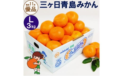 三ヶ日青島みかん【優品】Lサイズ 3kg (23個前後) ミカン 果物 くだもの フルーツ 甘い 浜松市 [№5360-0132]