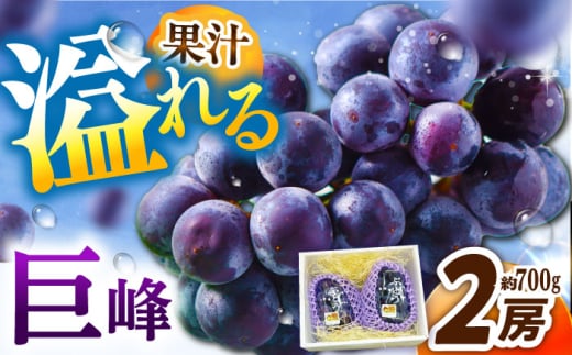 【2025年先行予約】【8月初旬頃から順次発送】溢れる果汁がたまらない！巨峰 2房 約700g 島根県雲南市/池田ぶどう農園　 [AIAA003] 1589744 - 島根県雲南市