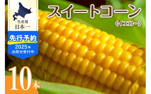 【先行予約】【2025年産】北海道十勝芽室町 とうもろこし スイートコーン10本 イエロー種 me002-004c-25 685307 - 北海道芽室町