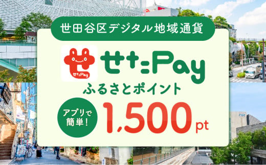 せたがやPay ふるさとポイント1,500pt（1pt＝1円） 561847 - 東京都世田谷区