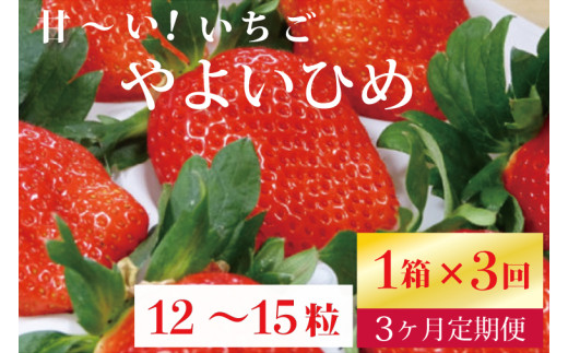 【2025年1月より順次発送】【3ヶ月定期便】甘～い！いちご　やよいひめ　12粒～15粒入り　1箱×3回(V-16) 572603 - 茨城県行方市