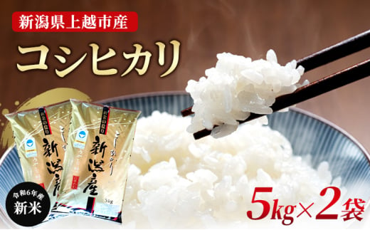 米【新米受付・令和6年産】新潟県上越市産コシヒカリ5kg×2袋 新米  お米 こめ こしひかり 精米 新潟 上越 