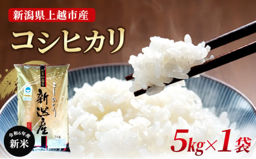 米【新米受付・令和6年産】新潟県上越市産コシヒカリ5kg×1袋 新米  お米 こめ こしひかり 精米 新潟 上越