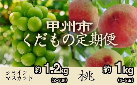 【甲州市くだもの定期便2選】 桃約1kg・シャインマスカット約1.2kg【2025年発送】（PJ）B18-170 【桃 もも モモ シャインマスカット 葡萄 ぶどう ブドウ 令和7年発送 期間限定 山梨県産 甲州市 フルーツ 果物】