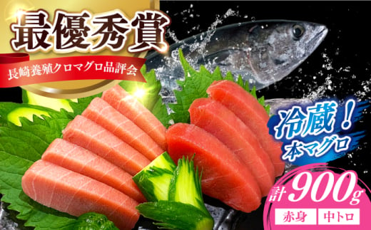 【長崎県養殖クロマグロ品評会最優秀賞！】 五島列島産 養殖 生 本マグロ 赤身 中トロ 冷蔵 計約900g マグロ まぐろ 鮪 刺身 ブロック 冷蔵 [RBN013]