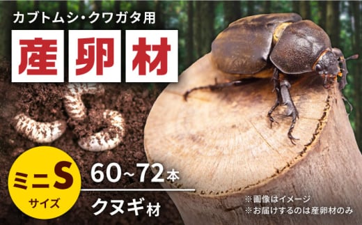 オリジナルミニ産卵材 Ｓサイズ (3段入り) カブトムシ クワガタ クヌギB材 【ふるさと昆虫】 [YDV001] 1587014 - 熊本県山都町