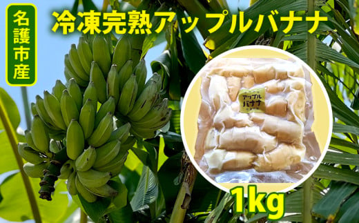 名護市産　冷凍完熟アップルバナナ1kg 名護市 なご ばなな 冷凍 食物繊維 手軽 アイス デザート アレンジ 真空パック 食べやすい おやつ 新鮮 完熟 一口サイズ 甘味 栄養満点 ヨーグルト スムージー パンケーキ