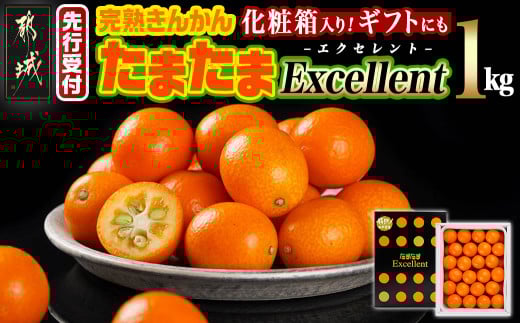 《先行受付!》 完熟きんかん「たまたま Excellent」1kg (化粧箱入)_AC-0113_(都城市) みやざきブランド 完熟きんかん たまたま 糖度18度以上 2L(直径3.2cm)以上 Excellent 専用化粧箱入り
