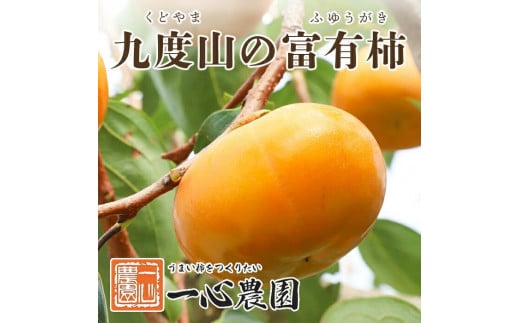 一心農園の富有柿 家庭用 約1.8kg 477714 - 和歌山県九度山町