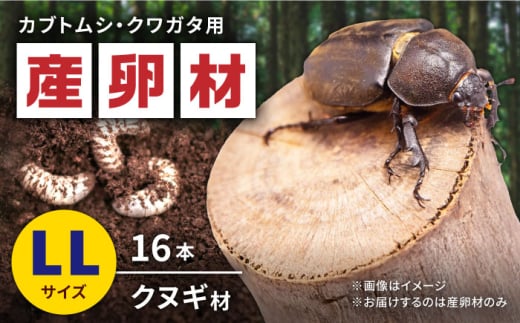 オリジナル産卵材 LLサイズ カブトムシ クワガタ クヌギB材 【ふるさと昆虫】 [YDV005] 1587018 - 熊本県山都町