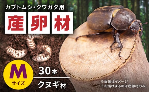 オリジナル産卵材 Mサイズ カブトムシ クワガタ クヌギB材 【ふるさと昆虫】 [YDV003] 1587016 - 熊本県山都町