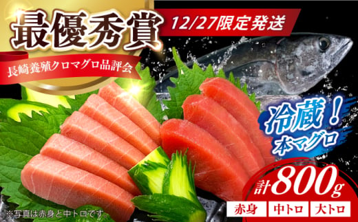 【12/27発送！】【長崎県養殖クロマグロ品評会最優秀賞！】 五島列島産養殖 生 本マグロ 赤身 中トロ 大トロ 計約800g マグロ まぐろ 鮪 刺身 ブロック 冷蔵 [RBN022]